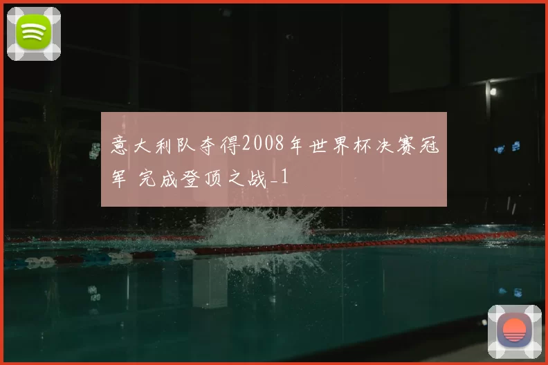意大利队夺得2008年世界杯决赛冠军 完成登顶之战_1