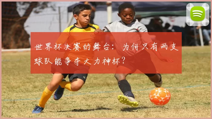 世界杯决赛的舞台：为何只有两支球队能争夺大力神杯？