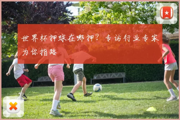 世界杯押球在哪押？专访行业专家为你指路
