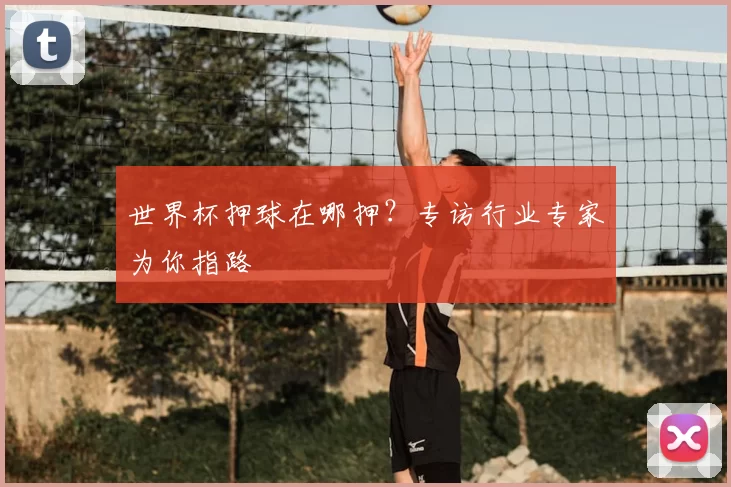 世界杯押球在哪押？专访行业专家为你指路