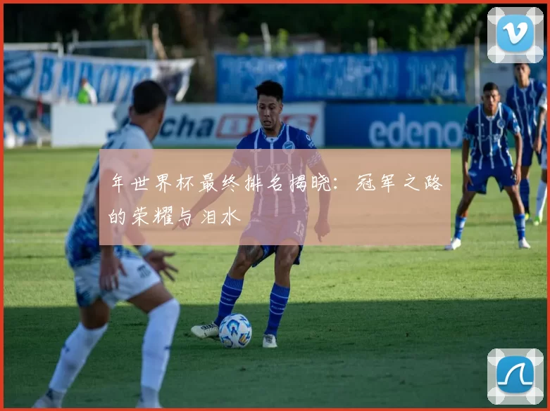 年世界杯最终排名揭晓：冠军之路的荣耀与泪水