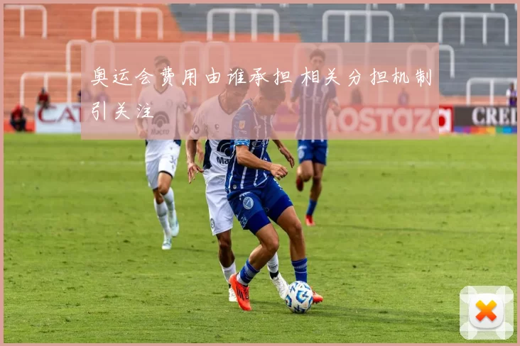 奥运会费用由谁承担 相关分担机制引关注