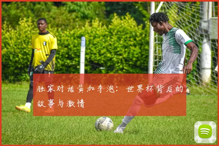 独家对话黄加李泡:世界杯背后的故事与激情